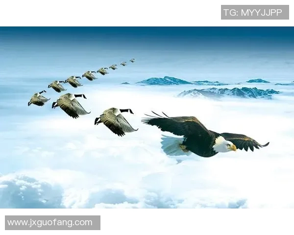 纽维尔老队与巴拉纳竞技队的激烈对决展现足球魅力与团队精神