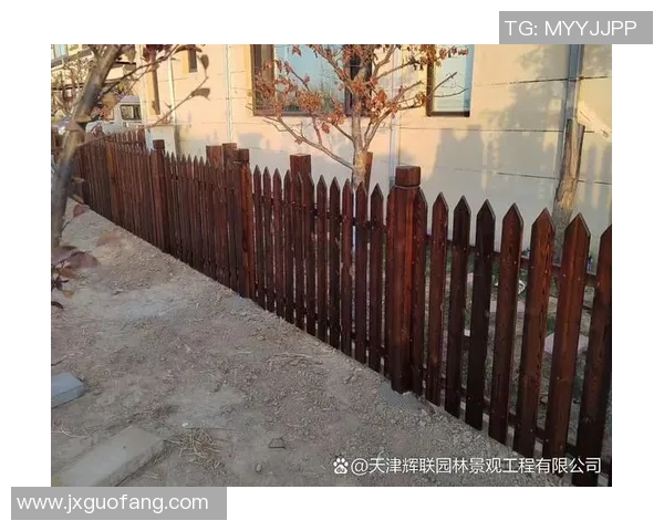 防腐木材在户外环境中的应用与维护技巧解析